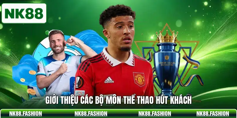 Giới thiệu các bộ môn thể thao hút khách