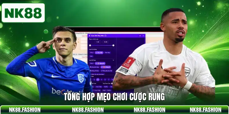 Tổng hợp mẹo chơi cược rung