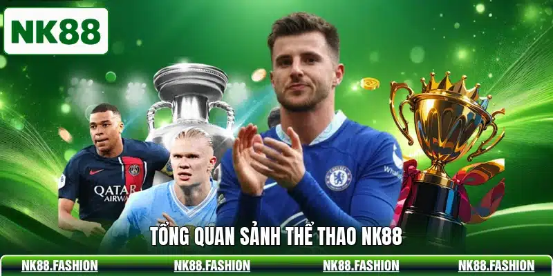 Tổng quan sảnh thể thao NK88